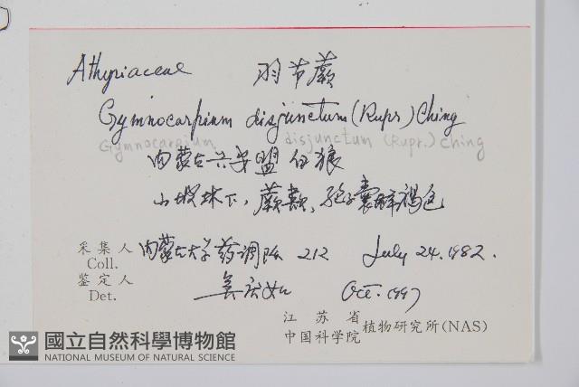 羽節蕨藏品圖，第2張