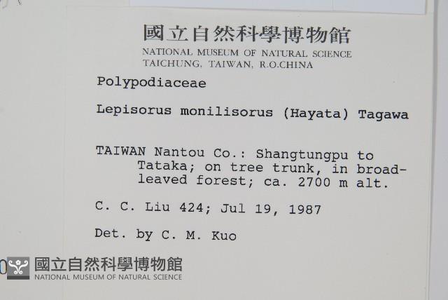 擬芨瓦葦藏品圖，第2張