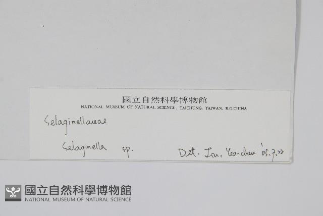 登錄號:P003695藏品圖，第2張