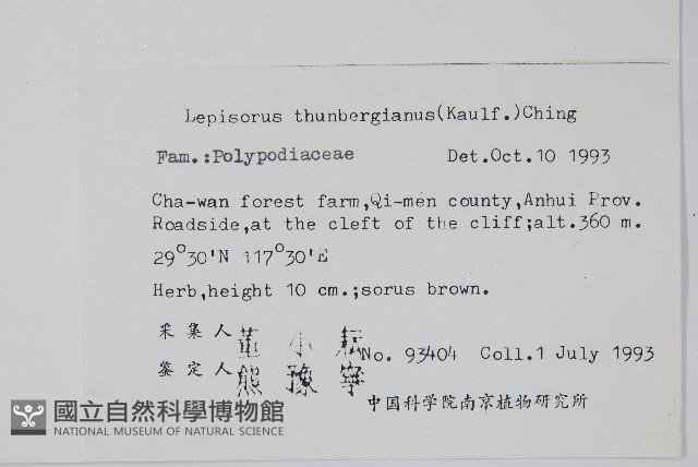 瓦葦藏品圖，第2張