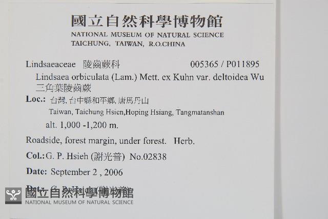 Accession Number:P011895 Collection Image, Figure 2, Total 2 Figures