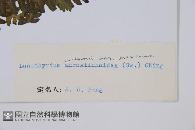 登錄號:P003895藏品圖，第2張