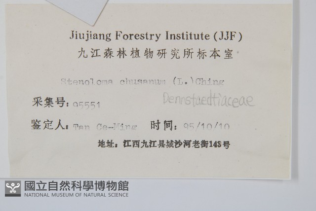 烏蕨藏品圖，第2張