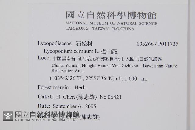 過山龍藏品圖，第2張