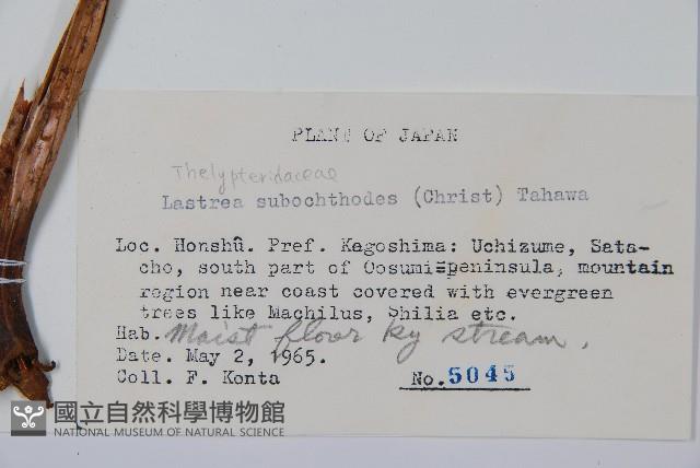 登錄號:P005735藏品圖，第2張