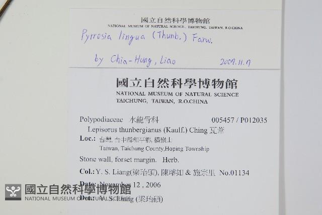 石葦藏品圖，第2張