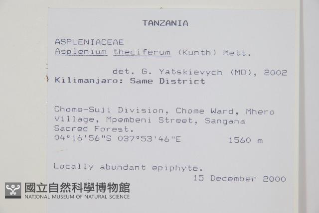 登錄號:P010035藏品圖，第2張