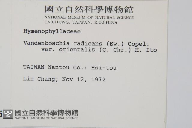 登錄號:P000535藏品圖，第2張