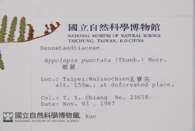 Accession Number:P000435 Collection Image, Figure 2, Total 5 Figures