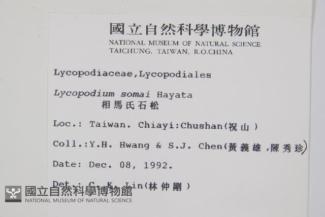 相馬氏石松藏品圖，第2張