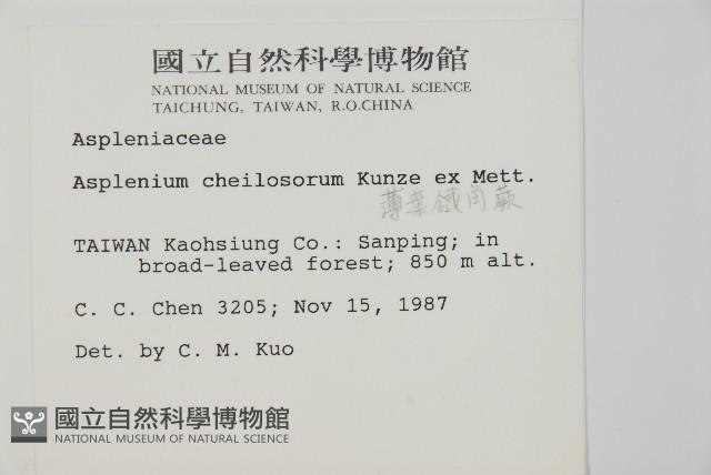 Accession Number:P000165 Collection Image, Figure 2, Total 5 Figures