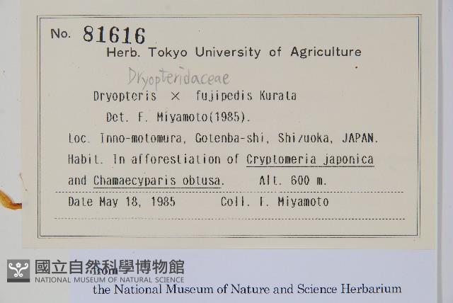 登錄號:P012765藏品圖，第2張