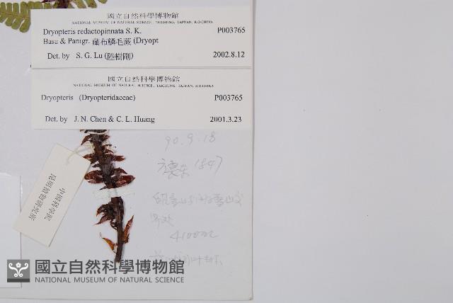 Accession Number:P003765 Collection Image, Figure 2, Total 2 Figures