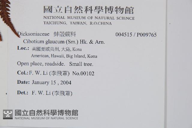 登錄號:P009765藏品圖，第2張