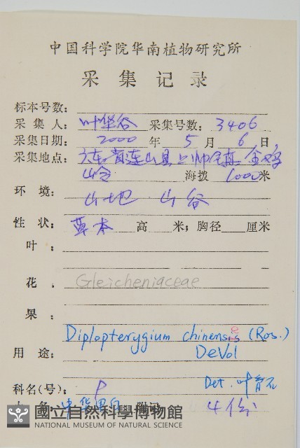 中華裡白藏品圖，第2張