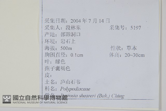 石葦藏品圖，第2張
