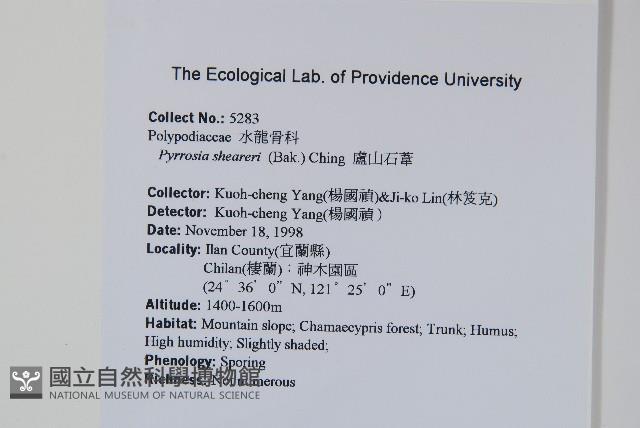 盧山石葦藏品圖，第2張