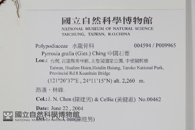 中國石葦藏品圖，第2張