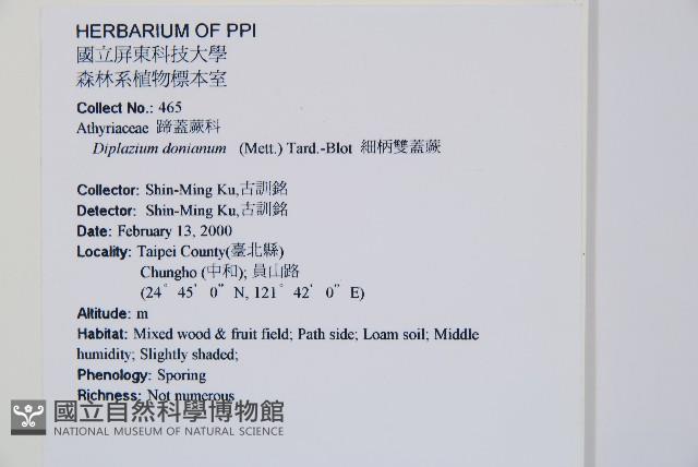 細柄雙蓋蕨藏品圖，第2張