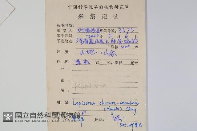 粵瓦葦藏品圖，第2張