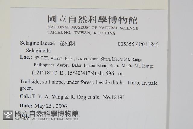 登錄號:P011845藏品圖，第2張