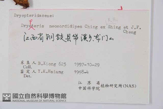 登錄號:P006245藏品圖，第2張