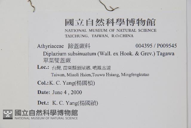 Accession Number:P009545 Collection Image, Figure 2, Total 5 Figures