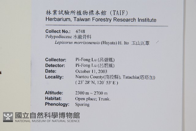 玉山瓦葦藏品圖，第2張