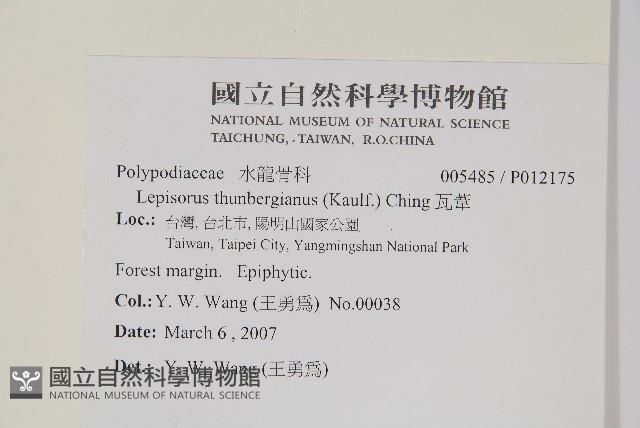 瓦葦藏品圖，第2張