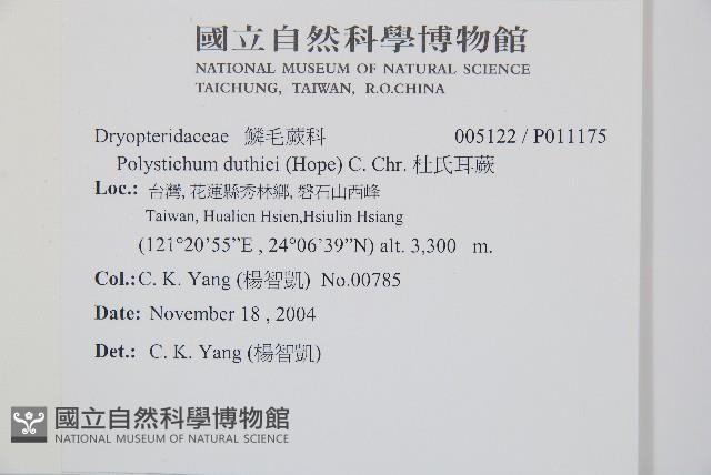 Accession Number:P011175 Collection Image, Figure 2, Total 2 Figures