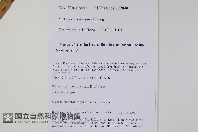 登錄號:P010775藏品圖，第2張