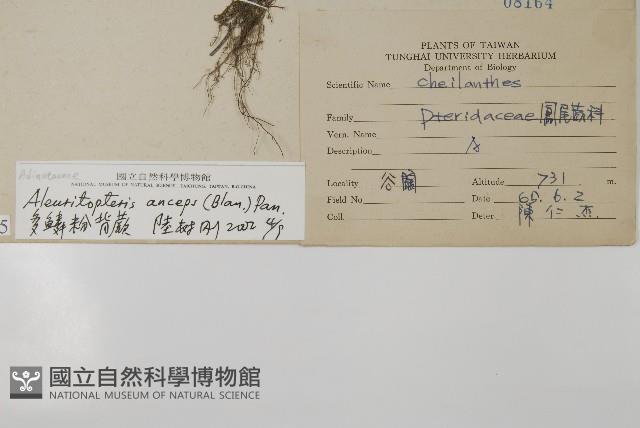 Accession Number:P008075 Collection Image, Figure 2, Total 4 Figures