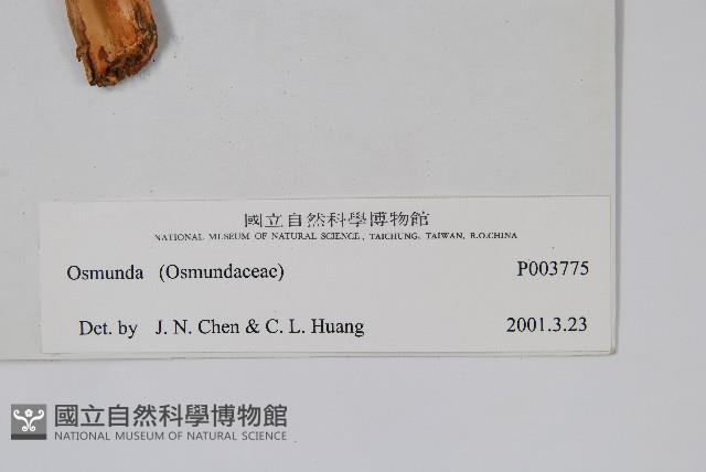 登錄號:P003775藏品圖，第2張