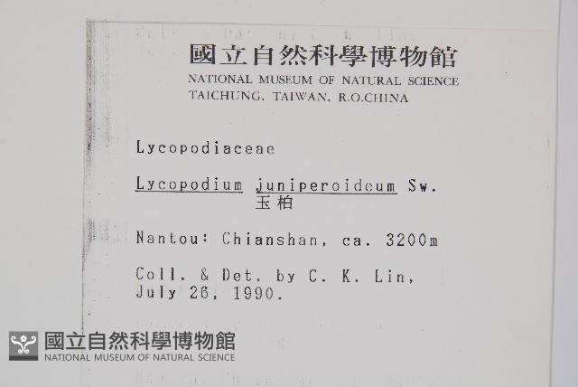 玉柏藏品圖，第2張