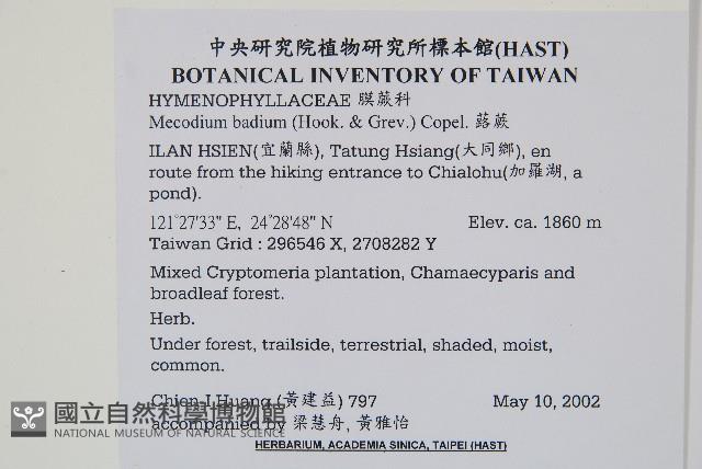 蕗蕨藏品圖，第2張