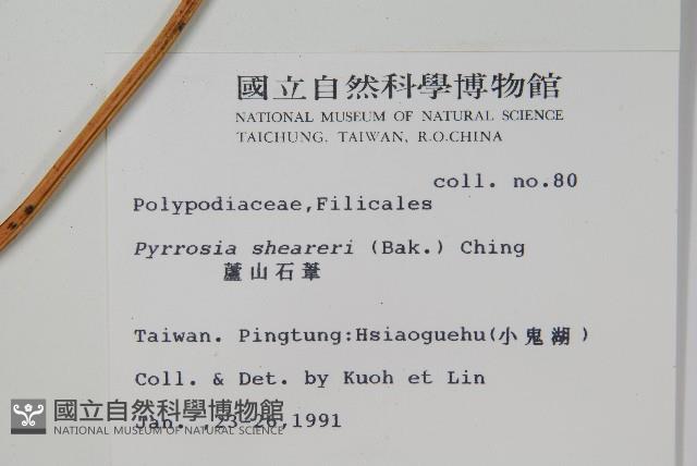 盧山石葦藏品圖，第2張