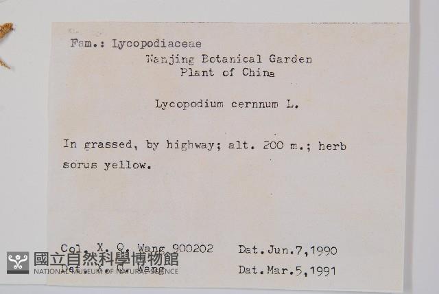 過山龍藏品圖，第2張