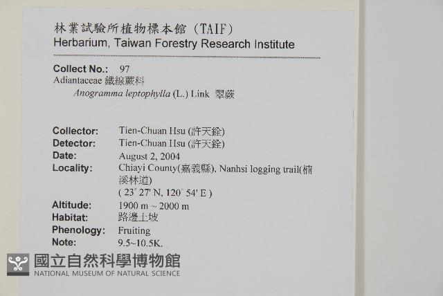 翠蕨藏品圖，第2張