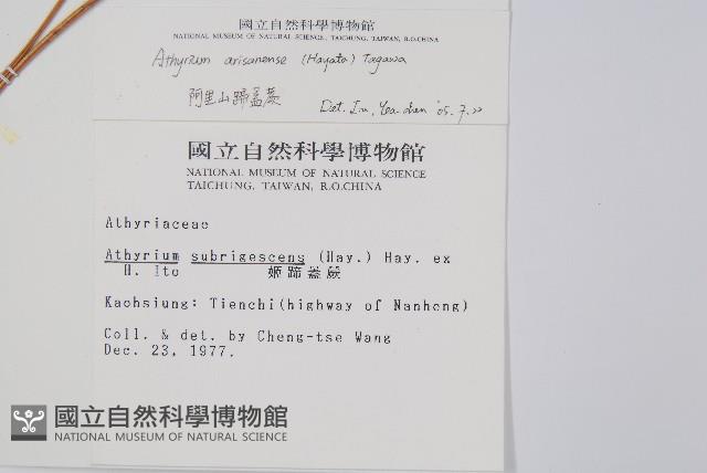 Accession Number:P001875 Collection Image, Figure 2, Total 4 Figures