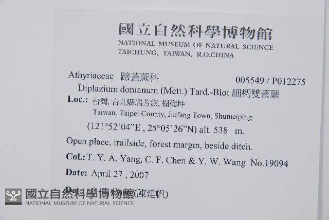 細柄雙蓋蕨藏品圖，第2張