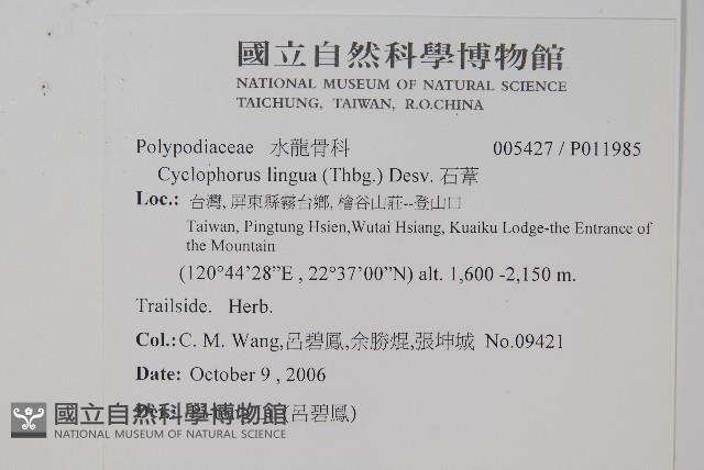 石葦藏品圖，第2張