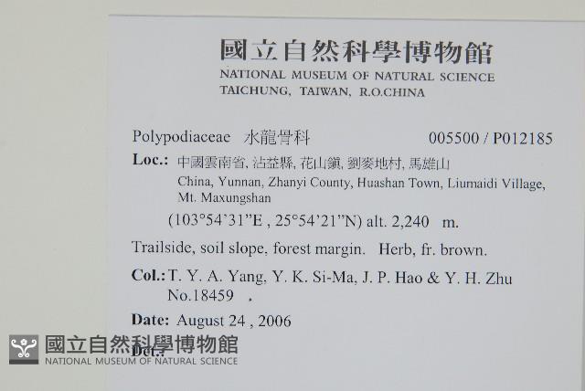 Accession Number:P012185 Collection Image, Figure 2, Total 2 Figures