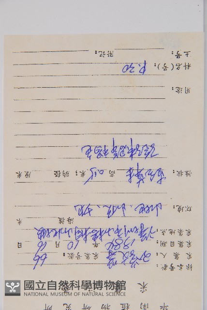 毛軸假蹄蓋蕨藏品圖，第2張