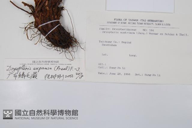 Accession Number:P003185 Collection Image, Figure 2, Total 2 Figures