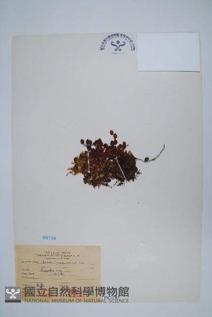 Accession Number:P007185 Collection Image, Figure 1, Total 2 Figures