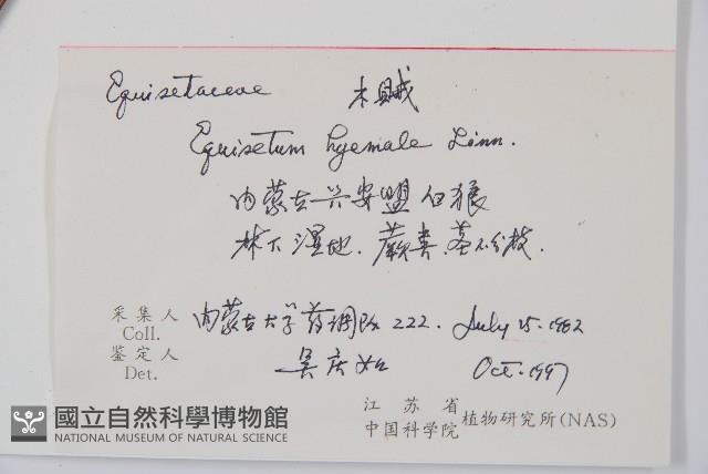 大木賊藏品圖，第2張