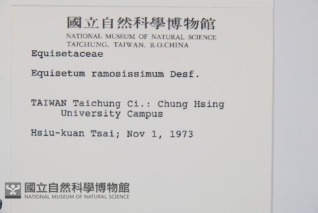 木賊藏品圖，第2張