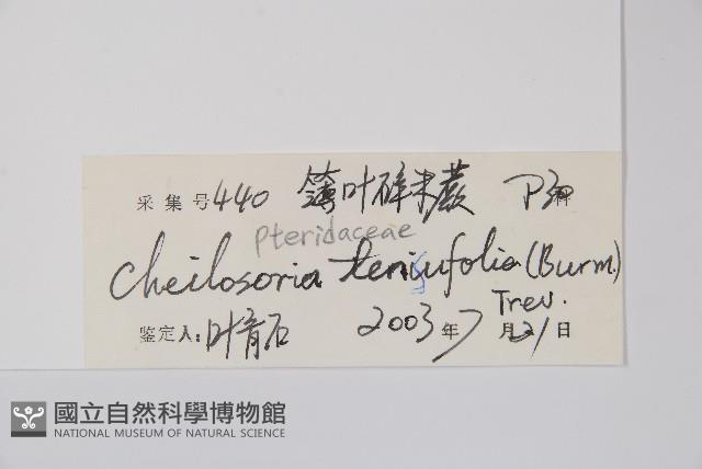 登錄號:P012885藏品圖，第2張