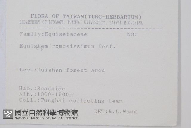 木賊藏品圖，第2張