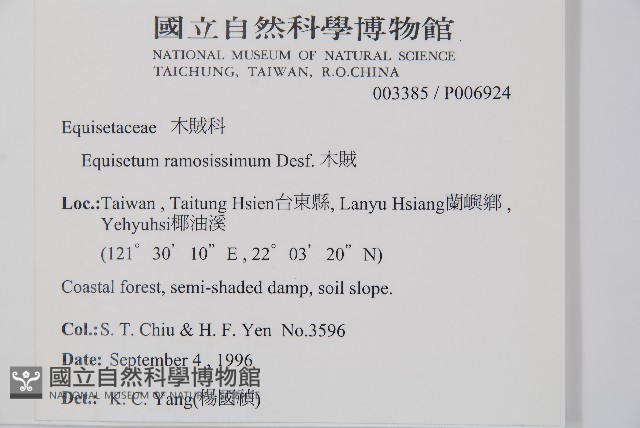 木賊藏品圖，第2張